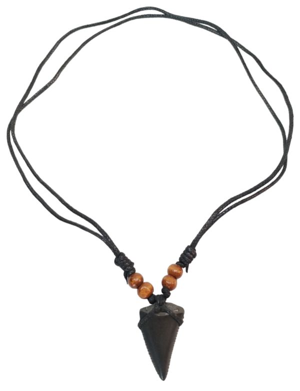 Shark Tooth Necklace – Fossilized – 3.3cm x 1.8cm – Medium - 4