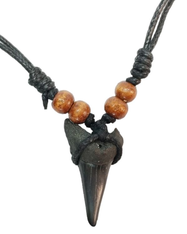 Shark Tooth Necklace – Fossilized – 3.3cm x 2cm – Medium - 4