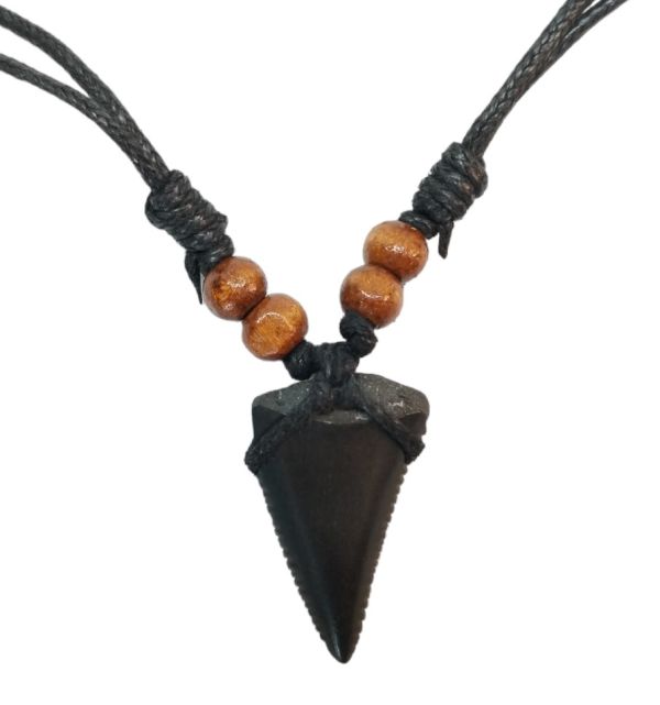 Shark Tooth Necklace – Fossilized – 3.3cm x 1.8cm – Medium - 5