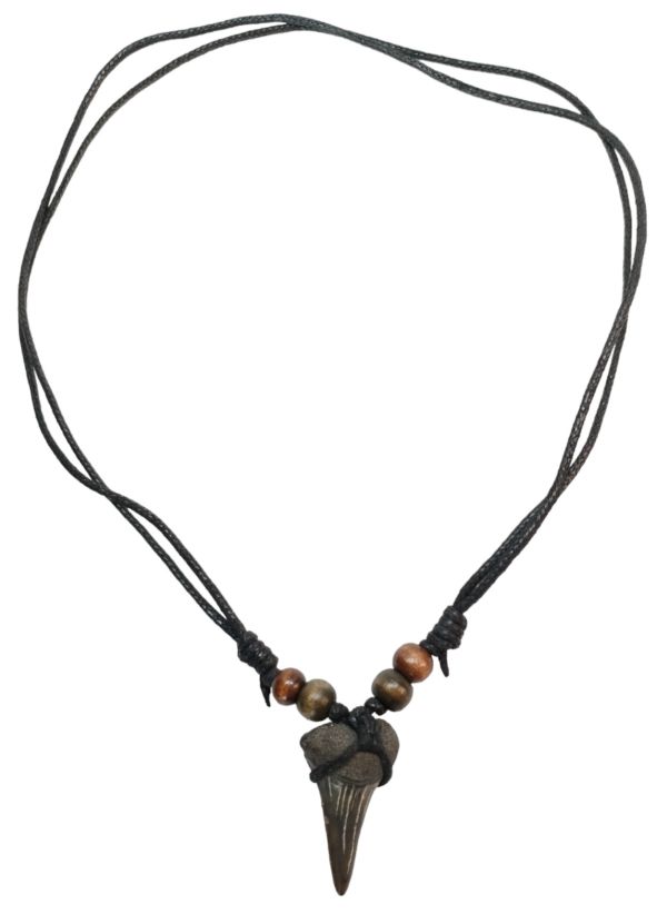 Shark Tooth Necklace – Fossilized – 3.1cm x 1.8cm – Medium - 4