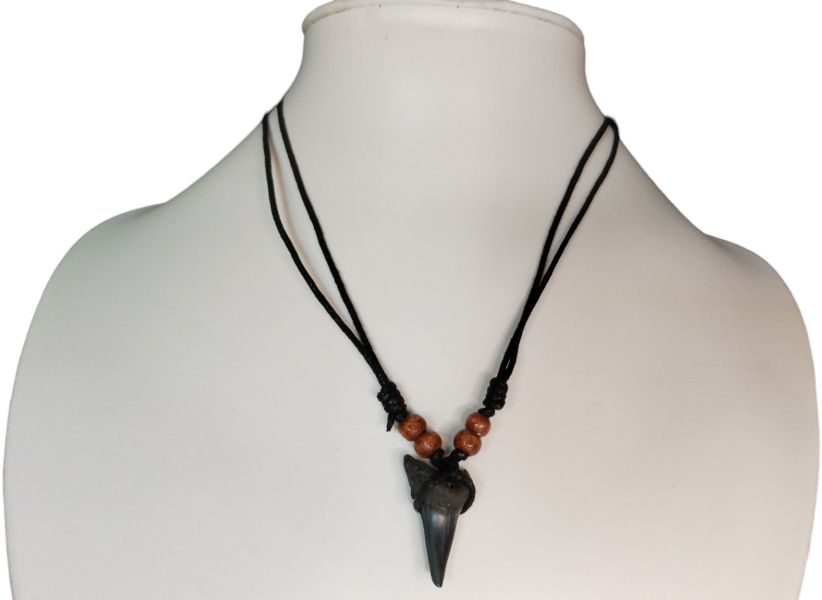 Shark Tooth Necklace – Fossilized – 3.3cm x 2cm – Medium - 3