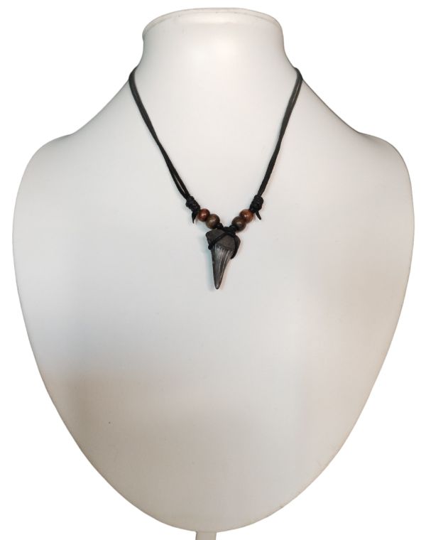 Shark Tooth Necklace – Fossilized – 3.1cm x 1.8cm – Medium - 2