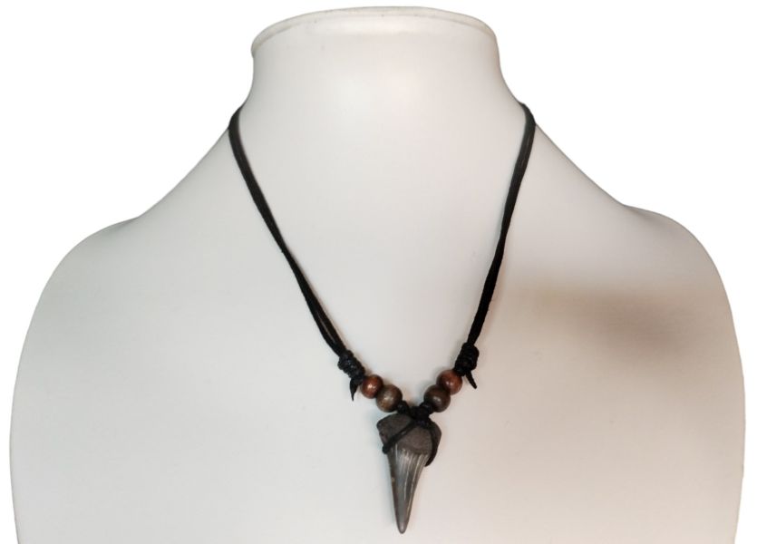 Shark Tooth Necklace – Fossilized – 3.1cm x 1.8cm – Medium - 3
